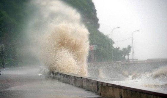 Mùa mưa bão 2020: Các tỉnh ven biển cảnh giác hiện tượng nước dâng do bão