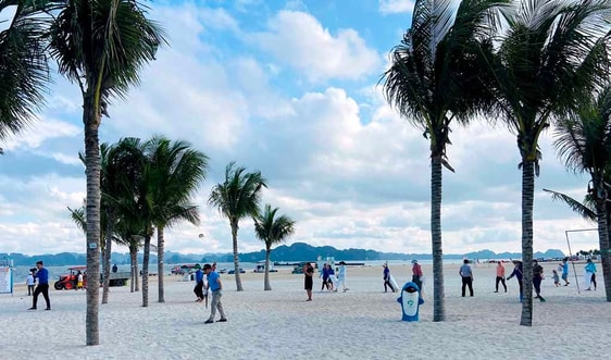 Ra quân hưởng ứng Ngày Môi trường thế giới 2020