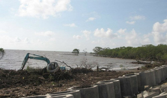 Tiền Giang: Nâng cấp đê biển Gò Công, bảo vệ hơn 37.000ha đất canh tác