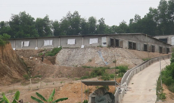 Tiếp bài trại lợn gây ô nhiễm môi trường nghiêm trọng ở Nghệ An: Tạm dừng phê duyệt ĐTM