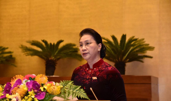 Chủ tịch Quốc hội Nguyễn Thị Kim Ngân được bầu làm Chủ tịch Hội đồng Bầu cử Quốc gia 