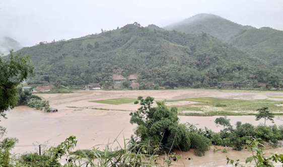 Lào Cai: Mưa lớn và dông sét gây thiệt hại nhiều nhà và hoa màu của người dân