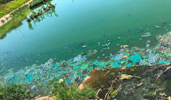 Đà Nẵng: Hồ Trung Nghĩa ô nhiễm, bốc mùi hôi thối