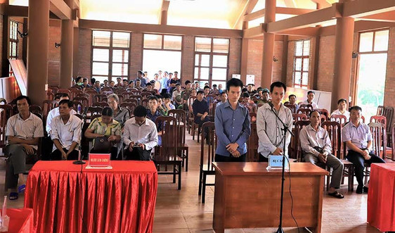  Quảng Ninh: Xét xử lưu động vụ án "Hủy hoại rừng" ở Bình Liêu