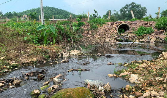 Công ty Cổ phần Chăn nuôi C.P Việt Nam: Lợi ích mang đi, ô nhiễm để lại
