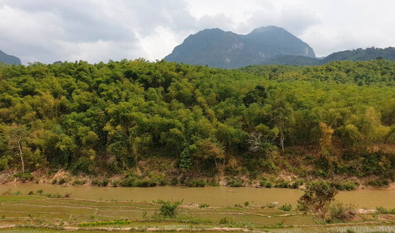 Quảng Trị: Phê duyệt công trình khoán bảo vệ rừng năm 2020