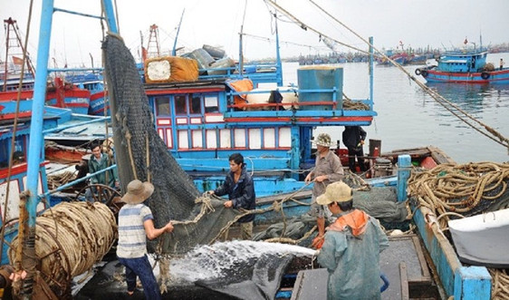 Đà Nẵng: Ban hành Quy chế phối hợp giữa các cơ quan chức năng trong hoạt động thanh tra kiểm tra kiểm soát nghề cá
