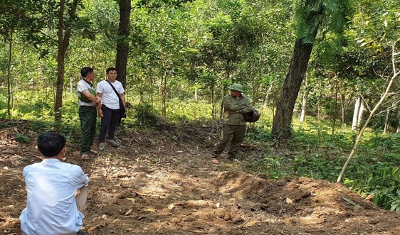 Thanh Hóa: Đẩy mạnh công tác quản lý bảo vệ rừng đặc dụng, phòng hộ
