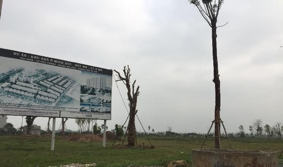 Mê Linh - Hà Nội: 29 dự án bất động sản được “giải cứu”