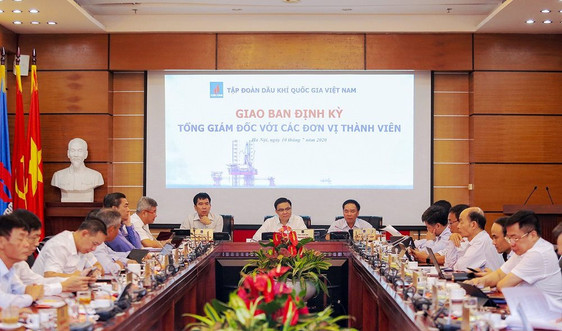 Tập đoàn Dầu khí Quốc gia Việt Nam – 6 tháng đầu năm vượt qua “khủng hoảng kép”