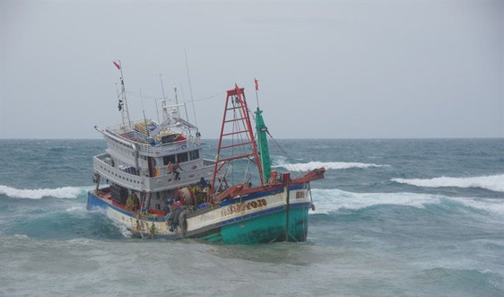 Cứu hộ thành công 19 thuyền viên gặp nạn trên vùng biển Bạch Long Vĩ