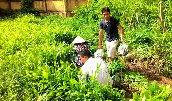 Điện Biên: Trồng rừng phòng hộ khó đạt kế hoạch do chậm vốn