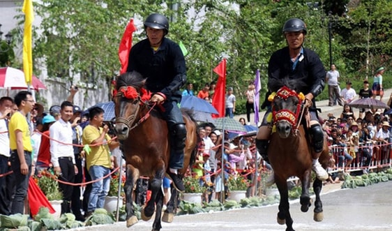 Lào Cai: Hấp dẫn giải đua “ Vó ngựa trên mây” 