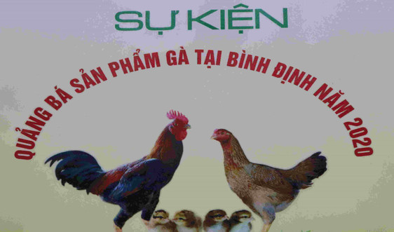 Lần đầu tiên tổ chức sự kiện quảng bá sản phẩm gà tại Bình Định