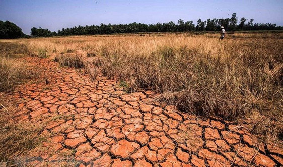 Lý giải nguyên nhân về đợt hạn mặn tại Đồng bằng sông Cửu Long trong mùa khô năm 2019 - 2020