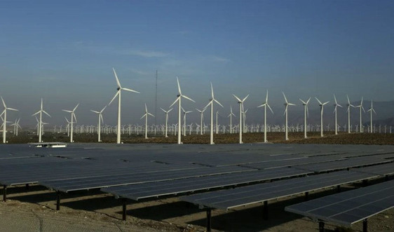 Sản lượng điện từ gió và mặt trời tăng 14% trong nửa đầu năm 2020