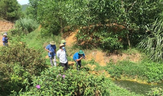 Nghệ An: Chỉ đạo xử lý ô nhiễm môi trường tại trại lợn Công ty Đại Thành Lộc