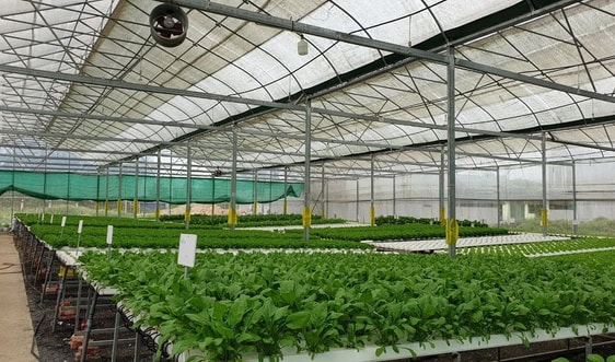 Đẩy mạnh công tác tưới tiên tiến, tiết kiệm nước cho cây trồng khô cạn