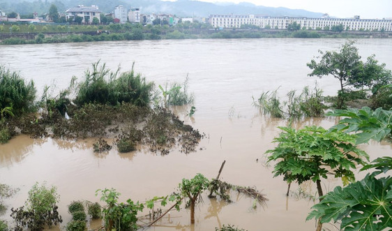 Lào Cai: Nước lũ trên sông Hồng nằm trong hệ số an toàn