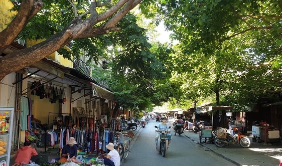 Quảng Nam cho phép vận tải hành khách liên tỉnh, khu vui chơi, giải trí… được hoạt động trở lại