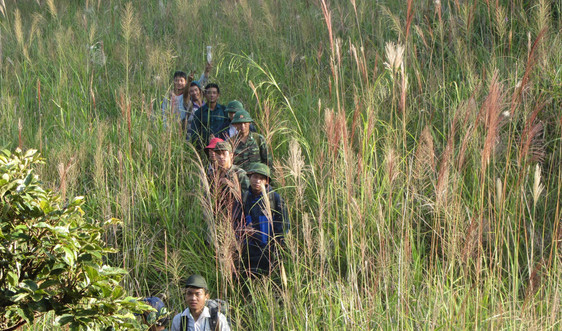 Điện Biên: Hiệu quả quản lý và sử dụng tiền dịch vụ môi trường rừng 