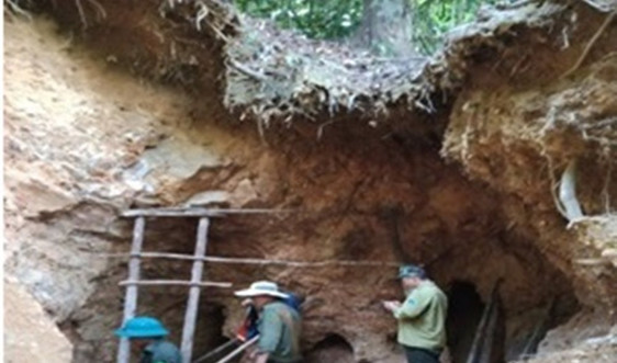 Đà Nẵng: Phát hiện 3 hầm có dấu hiệu khai thác vàng trái phép tại Khe Đương