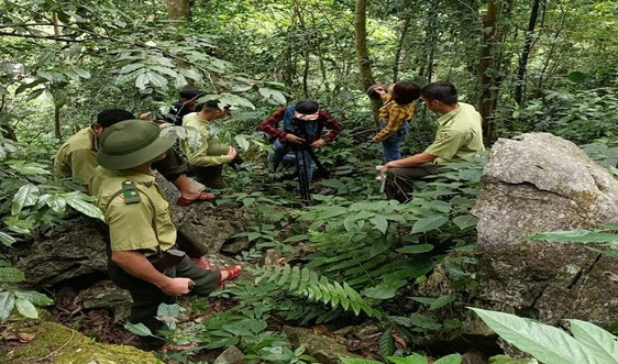  Tăng cường công tác bảo vệ rừng Khu Bảo tồn thiên nhiên Pù Luông 