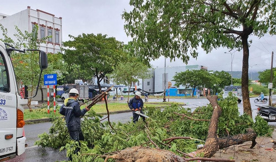 Đà Nẵng: Khắc phục cây xanh ngã đổ, dọn vệ sinh các tuyến đường