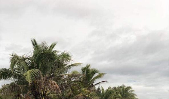 Tránh bão số 5, Quảng Nam sơ tán hơn 1.500 người 