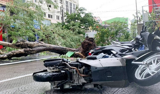 Thêm 2 người tử vong do bão số 5 tại Thừa Thiên Huế