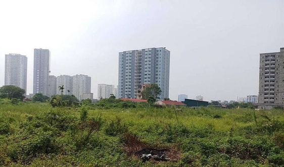 Doanh nghiệp địa ốc chậm triển khai sẽ không được giao dự án mới