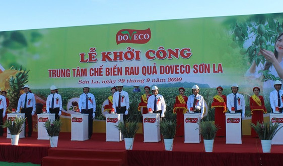 Khởi công xây dựng Trung tâm chế biến rau quả Doveco Sơn La