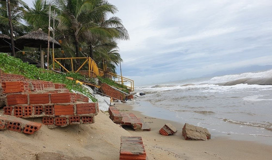 200 tỷ đồng thực hiện dự án chống xói lở khẩn cấp bờ biển Cửa Đại (Quảng Nam)