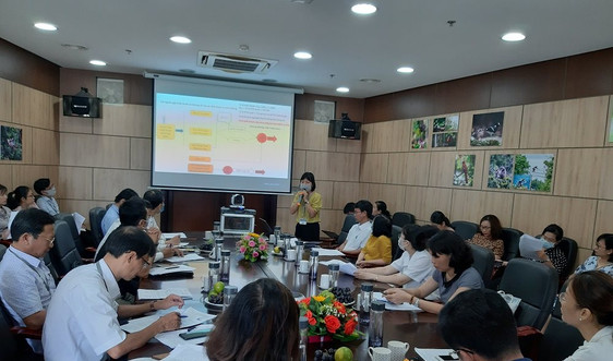 Đà Nẵng: Góp ý cho Kế hoạch Hành động về quản lý rác thải nhựa tại quận Thanh Khê