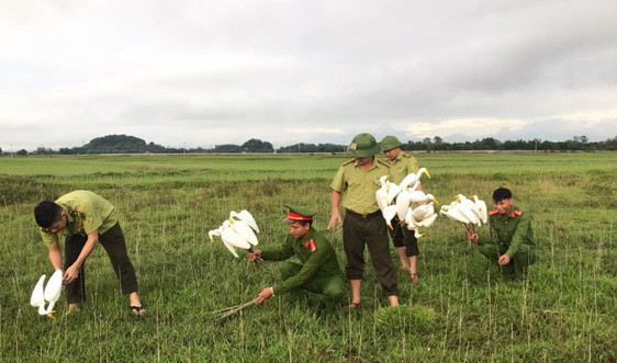 Hà Tĩnh: Công an ra quân thu giữ trên 1.800 dụng cụ bẫy chim