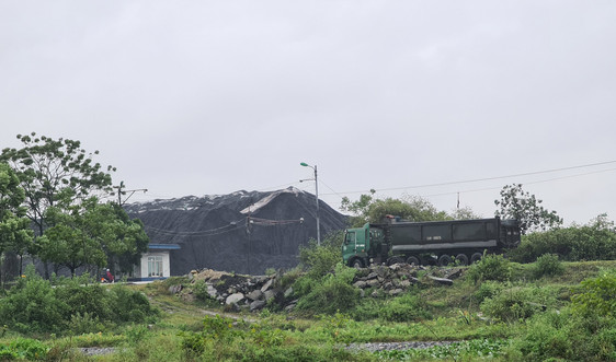 Ninh Bình: Lo ngại hàng loạt cảng than ngoài đê sông Đáy cản trở hành lang thoát lũ trước bão số 7