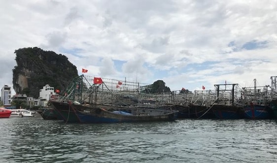 Quảng Ninh: Chủ động các biện pháp phòng chống bão số 7