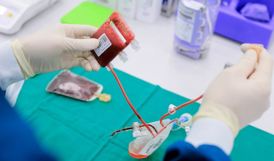 Liệu pháp tế bào gốc: “Cửa sống” cho các bệnh nan y