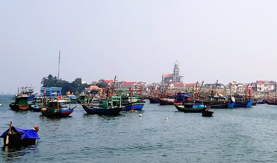 Thanh Hóa: Nỗ lực bảo tồn, phát triển đa dạng sinh học biển