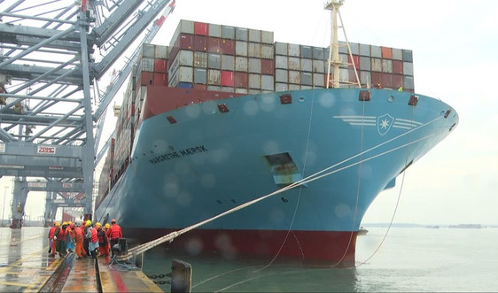Bà Rịa – Vũng Tàu đón tàu container lớn nhất thế giới