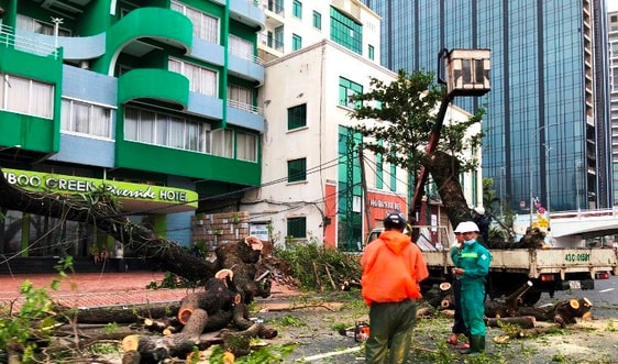 Tin cuối cùng về bão số 9, cảnh báo mưa to trên đất liền, sóng lớn trên biển, sạt lở đất ở một số huyện vùng núi