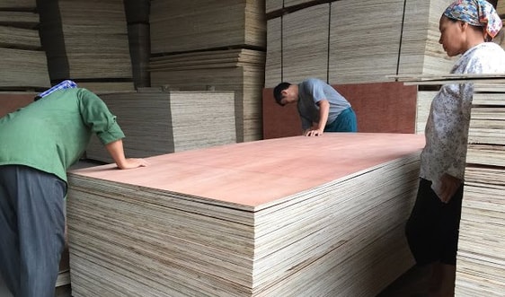 Sản xuất sạch hơn trong ngành gỗ ván ép ở Hà Nội