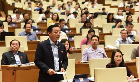 Thực hiện quy định pháp luật để quản lý hiệu quả vùng bờ