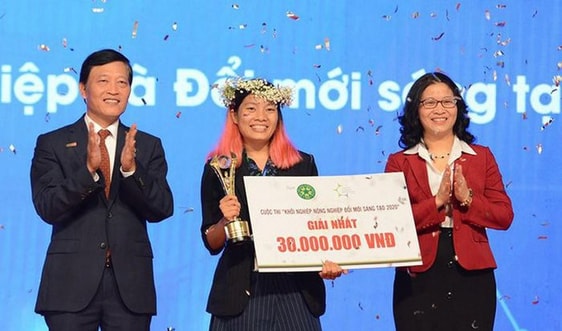 Dự án lá chuối Việt thay thế hộp xốp, túi nilon chiến thắng tại cuộc thi khởi nghiệp