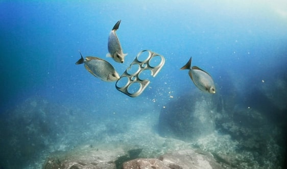 WWF cùng Việt Nam chống “ô nhiễm trắng”, bảo vệ sinh vật biển