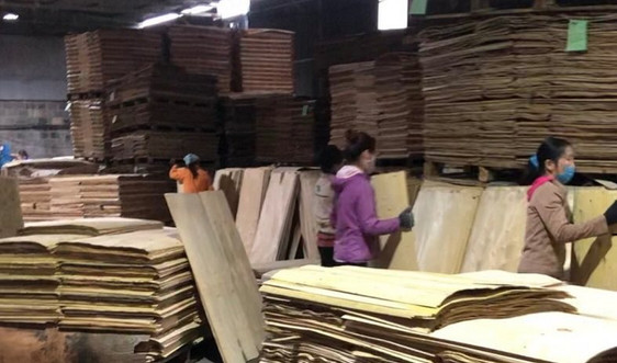 Nhà máy chế biến gỗ Bắc Sơn tạo việc làm cho nhiều lao động địa phương