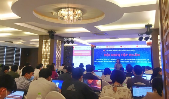 Bình Định tập huấn về thanh toán trực tuyến nghĩa vụ tài chính trong lĩnh vực đất đai 