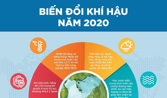 Infographic - Biến đổi khí hậu năm 2020 
