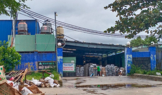 Bình Định: Công ty Phú Linh khai thác đất san gạt mặt bằng, xây nhà xưởng không phép