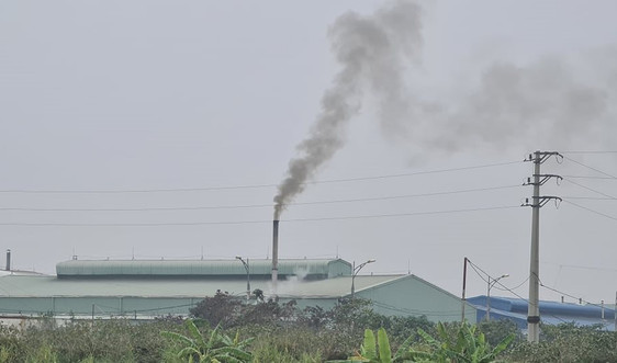 Hà Nam: Người dân “tố” nhiều cơ sở tẩy nhuộm xả thải ra sông Hồng gây ô nhiễm